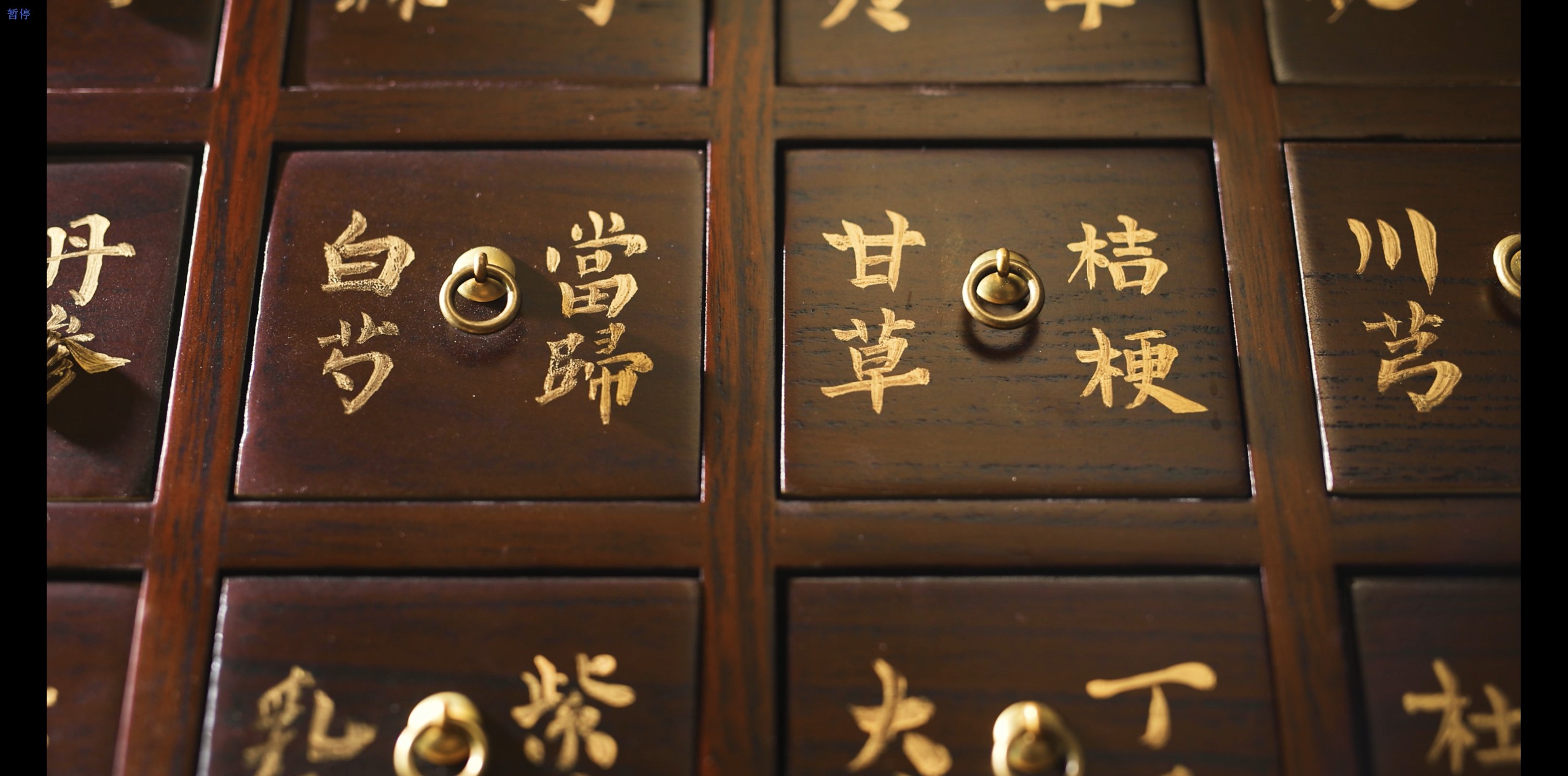 中医药的现代传承与创新